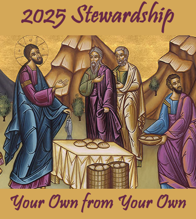 Stewardship 2025